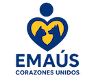 corazonesunidos.pe